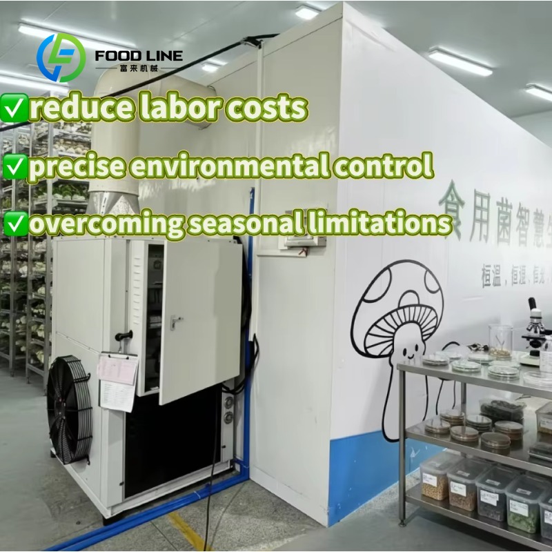 Agriculture Farming Technology - Customized New Technology Greenhouse Planting System