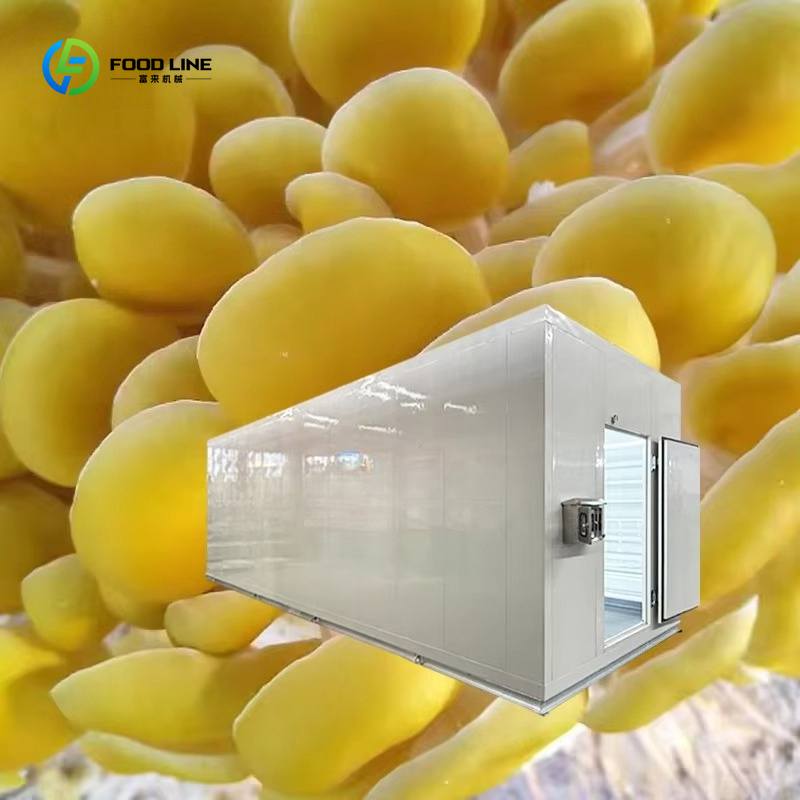 Smart Mushroom Growing Capsule - Agriculture Farming Technology ulasan dan harga
