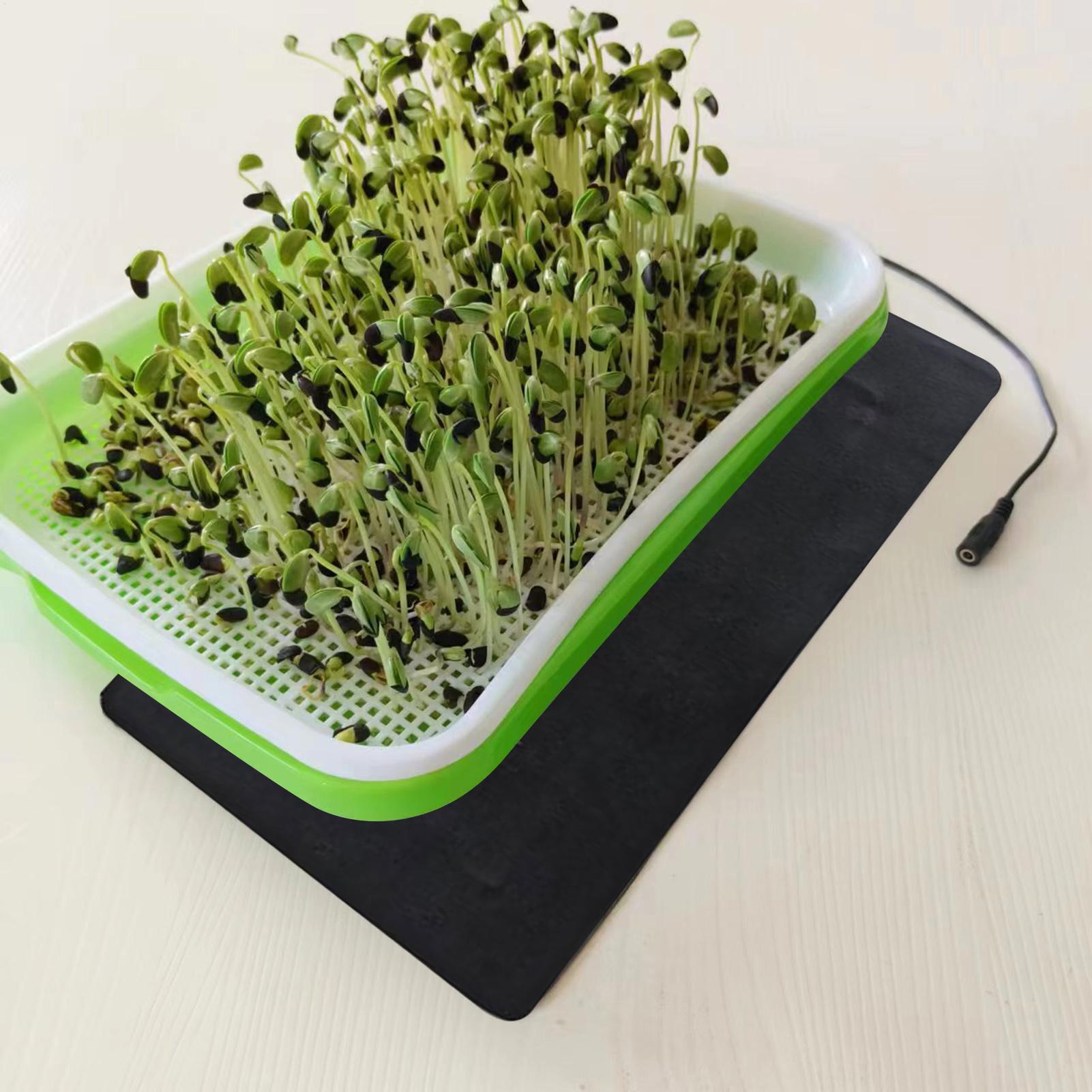 8.5W Seedling Heat Mat 5V 2A P - Seedling Heat Mat ulasan dan harga