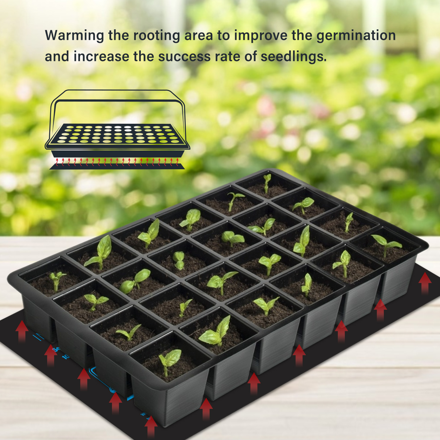 20.75x10CM EU/US/UK/AU Plug Se - Seedling Heat Mat ulasan dan harga